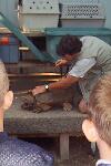 Zoo show with turtle-s.jpg (4687 bytes)