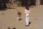 MW-Sam standing with deer-s.jpg (4102 bytes)